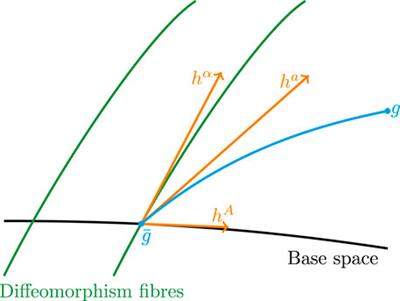 Quantum Gravity: A Fluctuating Point of View